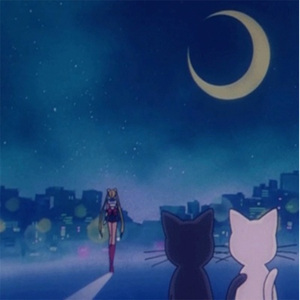 国产高清无码中文
