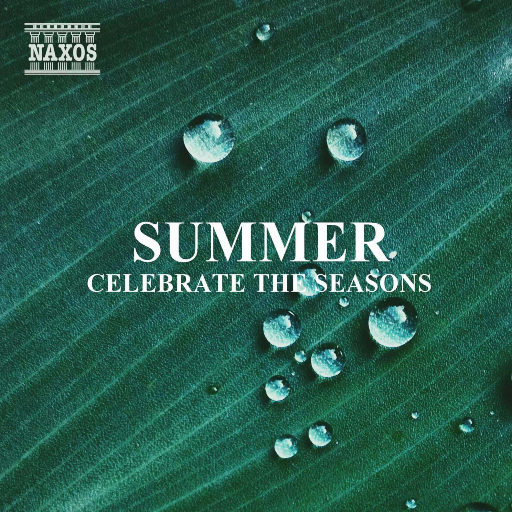 国产高清无码中文
